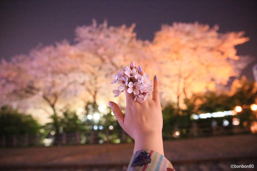 캐논 코리아 단렌즈